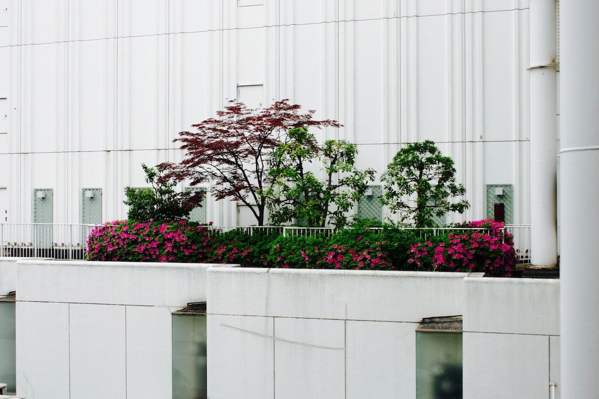Vertical Garden City – City of Signs